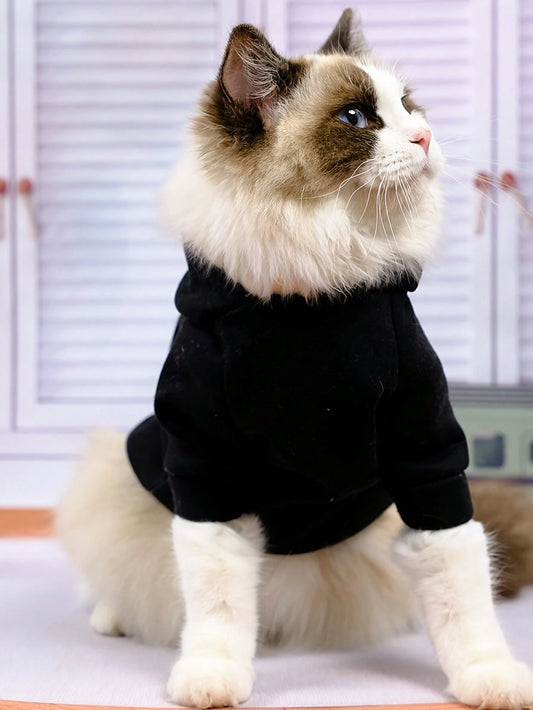 SXV vip pet hoodie