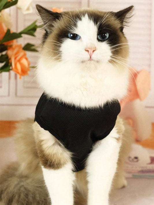 SXV Cat Printed Black Vest For Daily Pet Wear