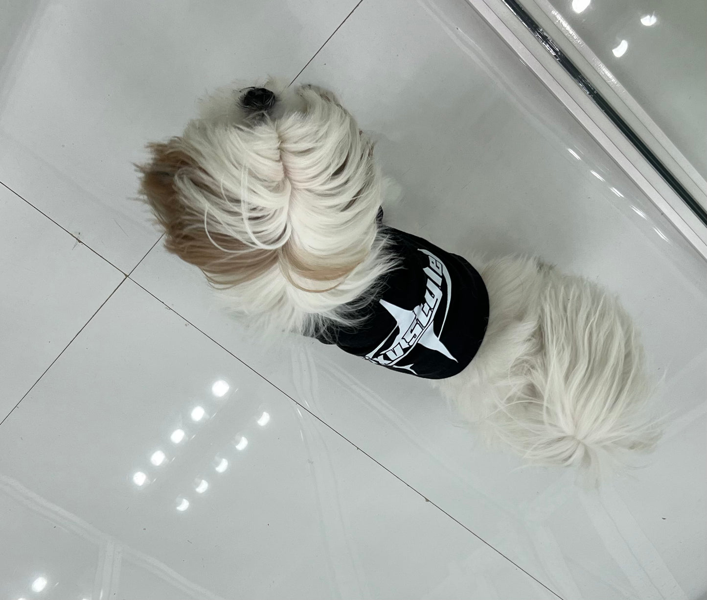 SXV Style Dog Vest T-Shirt