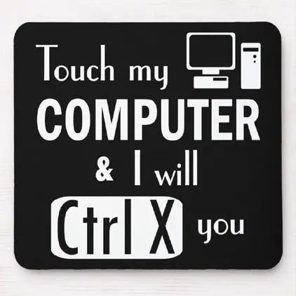 Touch my computer and i will ctrl X you