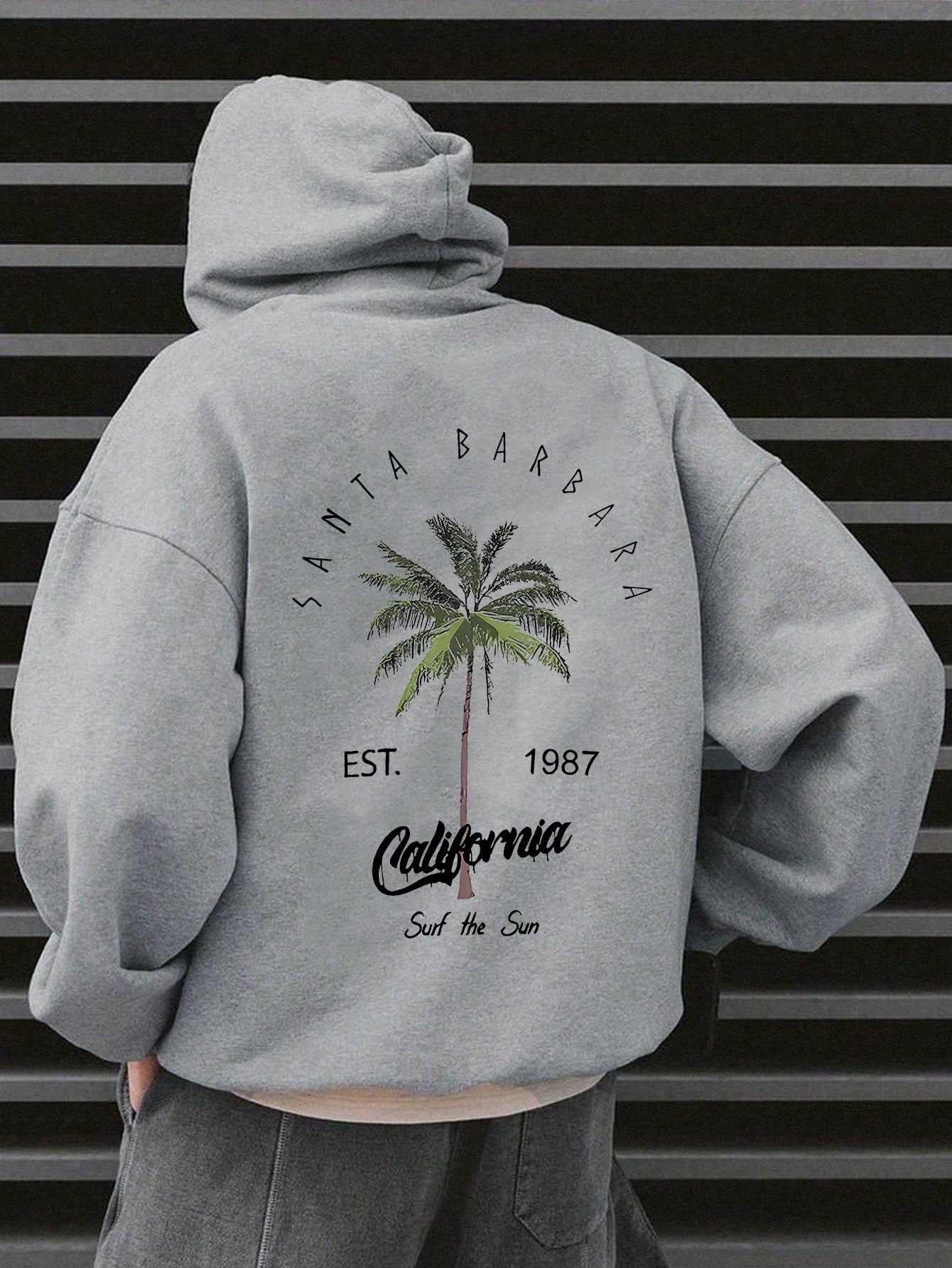 CALIFORNIA surf the sun