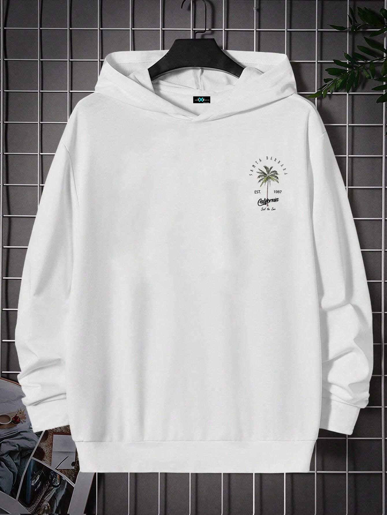 CALIFORNIA surf the sun