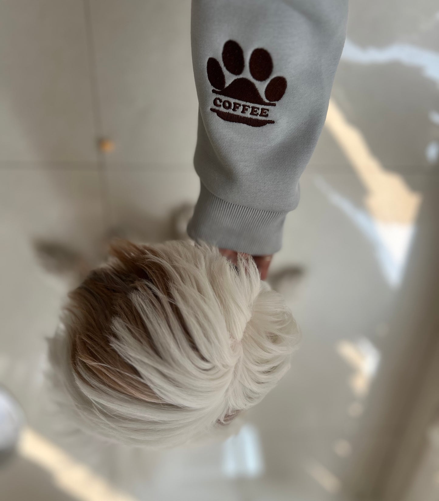 SXV customised ur pet name paw embroidered Hoodie 450 Gsm