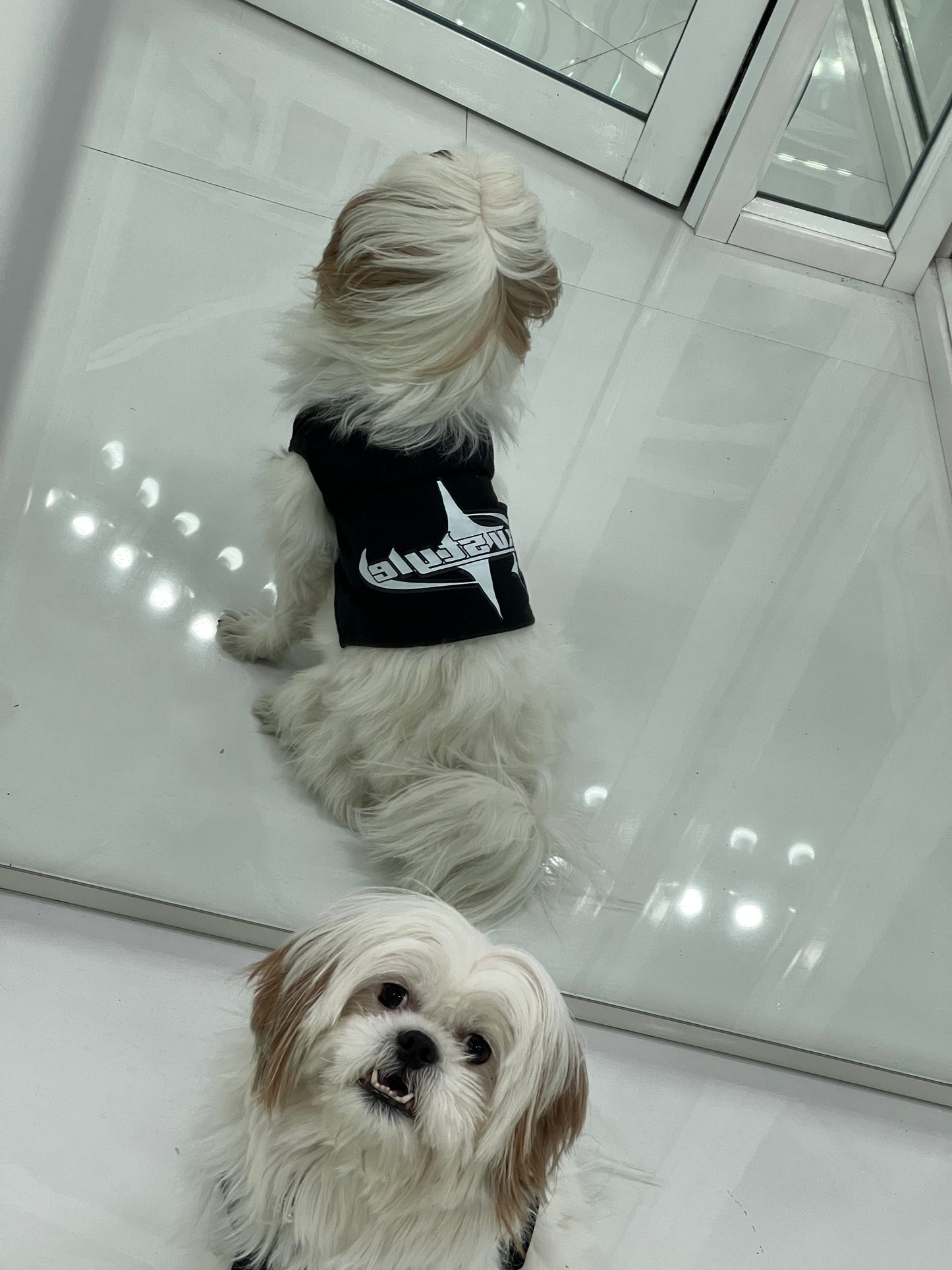 SXV Style Dog Vest T-Shirt